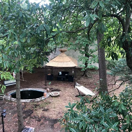 Les Dames De Florent Saint-Florent-sur-Auzonnet